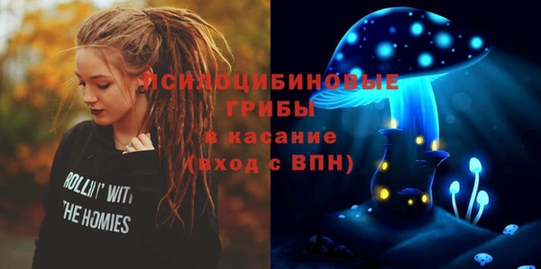 хмурый Козельск