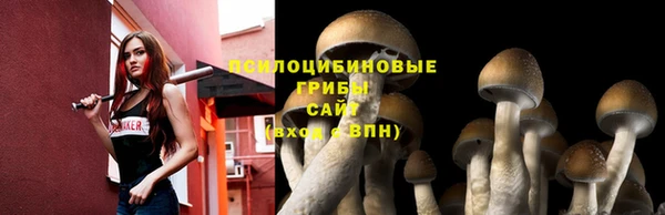 хмурый Козельск