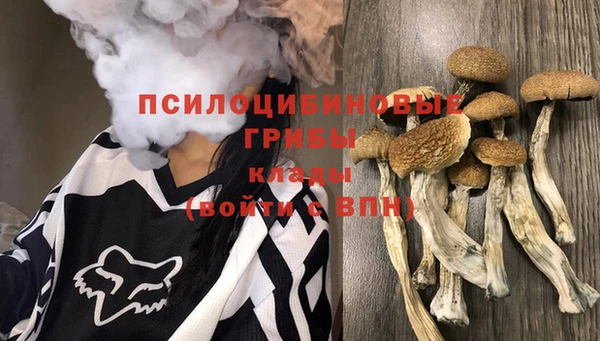 бошки Козловка
