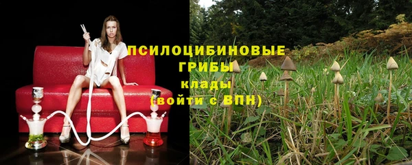 гашик Белая Холуница