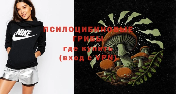 хмурый Козельск