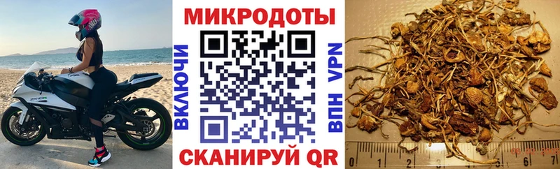 Псилоцибиновые грибы Psilocybe  Лиски 