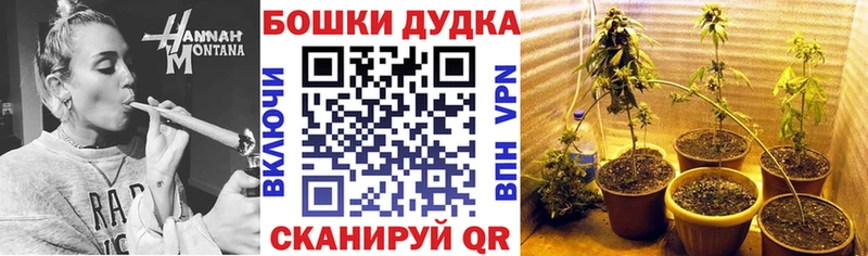 закладки  Лиски  Бошки Шишки ГИДРОПОН 